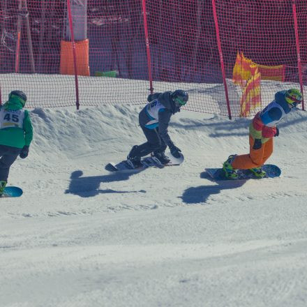 Boarderchallenge Vienna - Wiener Schulmeisterschaften 2015 @ Annaberg