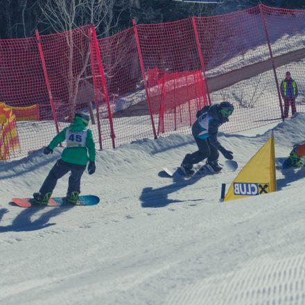 Boarderchallenge Vienna - Wiener Schulmeisterschaften 2015 @ Annaberg