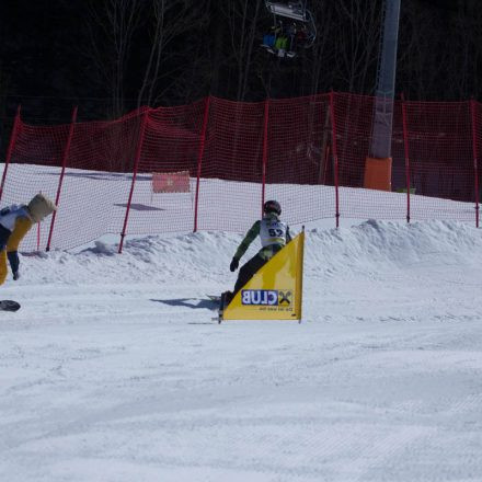 Boarderchallenge Vienna - Wiener Schulmeisterschaften 2015 @ Annaberg