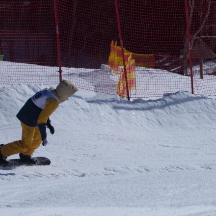 Boarderchallenge Vienna - Wiener Schulmeisterschaften 2015 @ Annaberg