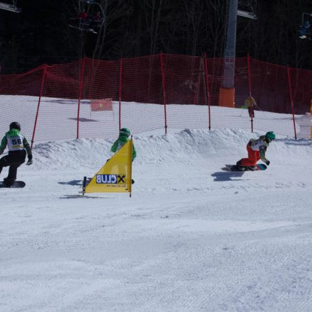 Boarderchallenge Vienna - Wiener Schulmeisterschaften 2015 @ Annaberg