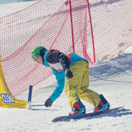 Boarderchallenge Vienna - Wiener Schulmeisterschaften 2015 @ Annaberg