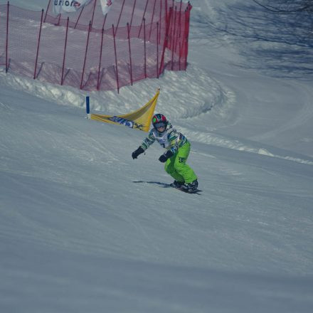 Boarderchallenge Vienna - Wiener Schulmeisterschaften 2015 @ Annaberg