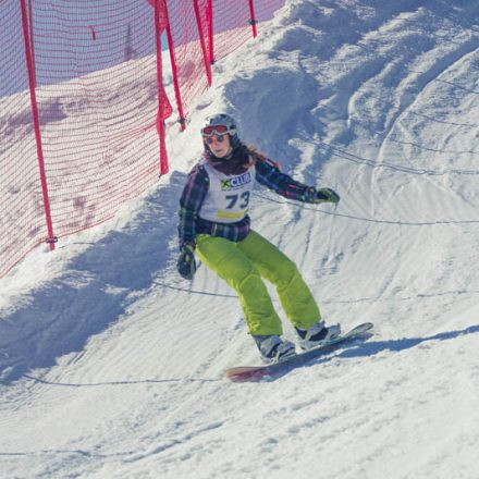 Boarderchallenge Vienna - Wiener Schulmeisterschaften 2015 @ Annaberg