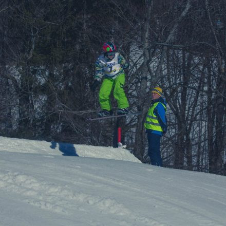 Boarderchallenge Vienna - Wiener Schulmeisterschaften 2015 @ Annaberg