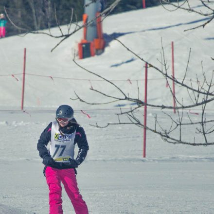 Boarderchallenge Vienna - Wiener Schulmeisterschaften 2015 @ Annaberg