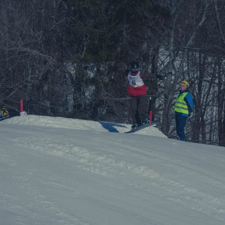 Boarderchallenge Vienna - Wiener Schulmeisterschaften 2015 @ Annaberg