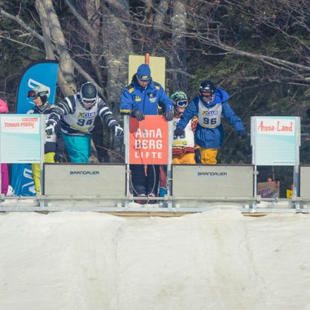 Boarderchallenge Vienna - Wiener Schulmeisterschaften 2015 @ Annaberg