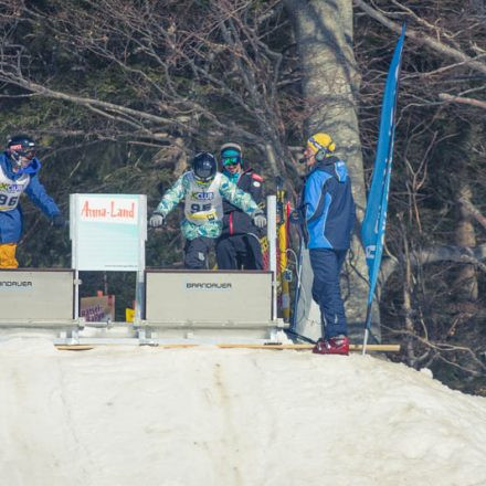 Boarderchallenge Vienna - Wiener Schulmeisterschaften 2015 @ Annaberg