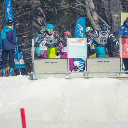 Boarderchallenge Vienna - Wiener Schulmeisterschaften 2015 @ Annaberg