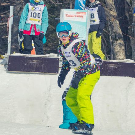 Boarderchallenge Vienna - Wiener Schulmeisterschaften 2015 @ Annaberg