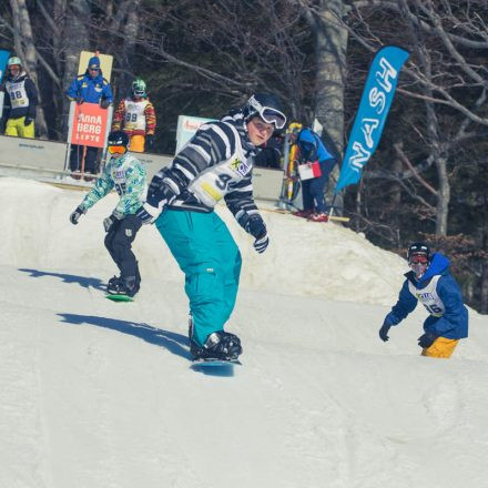 Boarderchallenge Vienna - Wiener Schulmeisterschaften 2015 @ Annaberg