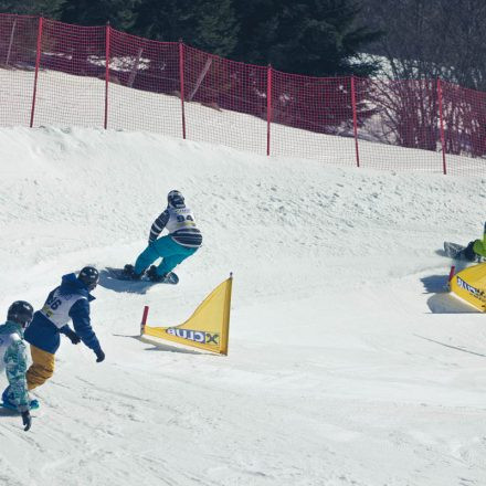 Boarderchallenge Vienna - Wiener Schulmeisterschaften 2015 @ Annaberg