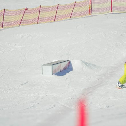 Boarderchallenge Vienna - Wiener Schulmeisterschaften 2015 @ Annaberg