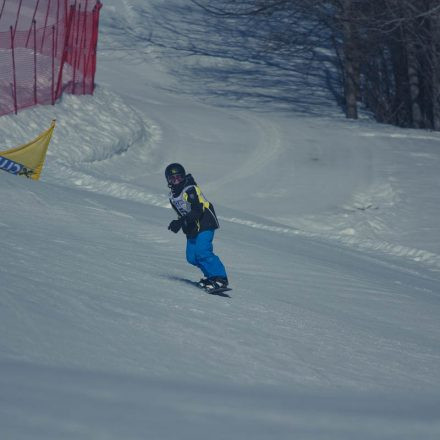 Boarderchallenge Vienna - Wiener Schulmeisterschaften 2015 @ Annaberg