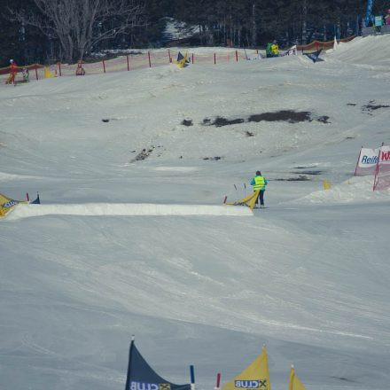 Boarderchallenge Vienna - Wiener Schulmeisterschaften 2015 @ Annaberg