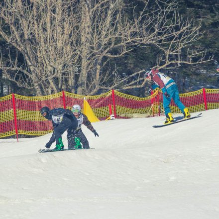 Boarderchallenge Vienna - Wiener Schulmeisterschaften 2015 @ Annaberg