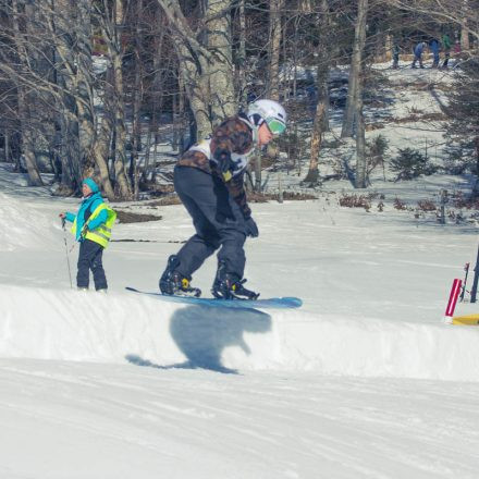 Boarderchallenge Vienna - Wiener Schulmeisterschaften 2015 @ Annaberg