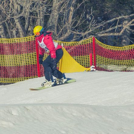 Boarderchallenge Vienna - Wiener Schulmeisterschaften 2015 @ Annaberg