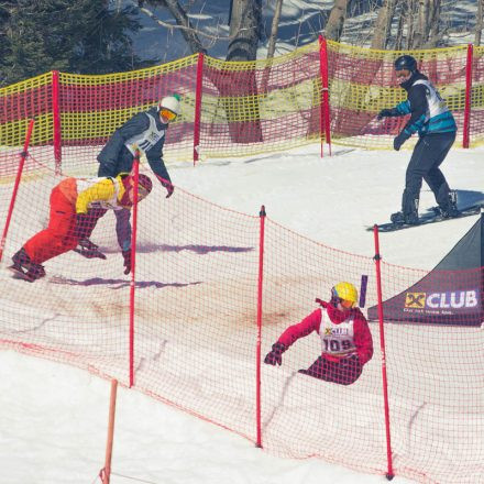 Boarderchallenge Vienna - Wiener Schulmeisterschaften 2015 @ Annaberg