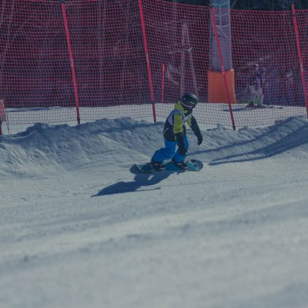 Boarderchallenge Vienna - Wiener Schulmeisterschaften 2015 @ Annaberg