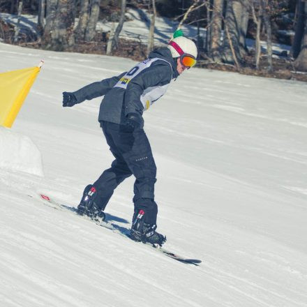 Boarderchallenge Vienna - Wiener Schulmeisterschaften 2015 @ Annaberg