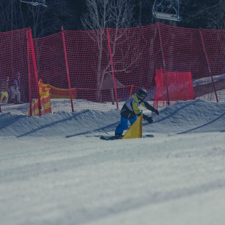 Boarderchallenge Vienna - Wiener Schulmeisterschaften 2015 @ Annaberg