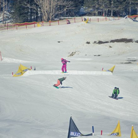 Boarderchallenge Vienna - Wiener Schulmeisterschaften 2015 @ Annaberg