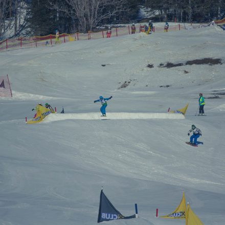 Boarderchallenge Vienna - Wiener Schulmeisterschaften 2015 @ Annaberg