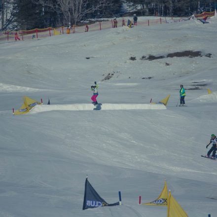 Boarderchallenge Vienna - Wiener Schulmeisterschaften 2015 @ Annaberg