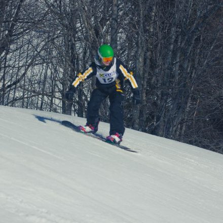 Boarderchallenge Vienna - Wiener Schulmeisterschaften 2015 @ Annaberg