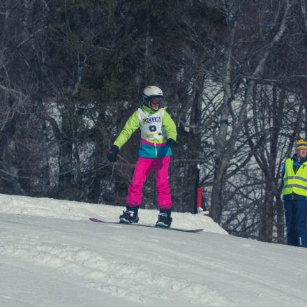 Boarderchallenge Vienna - Wiener Schulmeisterschaften 2015 @ Annaberg