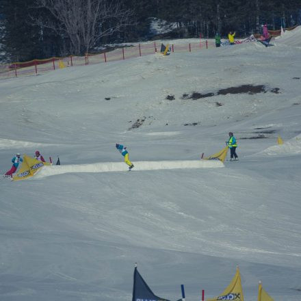 Boarderchallenge Vienna - Wiener Schulmeisterschaften 2015 @ Annaberg