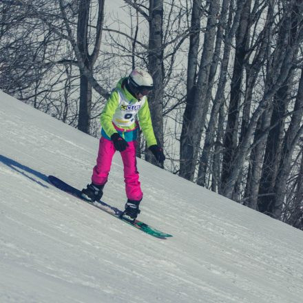 Boarderchallenge Vienna - Wiener Schulmeisterschaften 2015 @ Annaberg