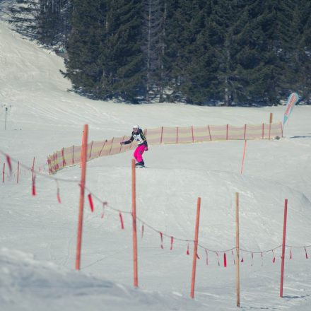 Boarderchallenge Vienna - Wiener Schulmeisterschaften 2015 @ Annaberg