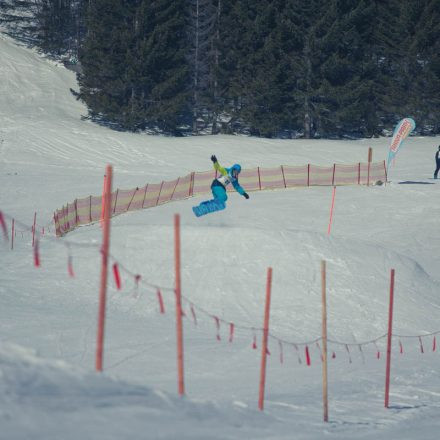 Boarderchallenge Vienna - Wiener Schulmeisterschaften 2015 @ Annaberg