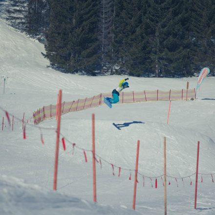 Boarderchallenge Vienna - Wiener Schulmeisterschaften 2015 @ Annaberg