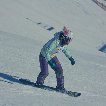 Boarderchallenge Vienna - Wiener Schulmeisterschaften 2015 @ Annaberg