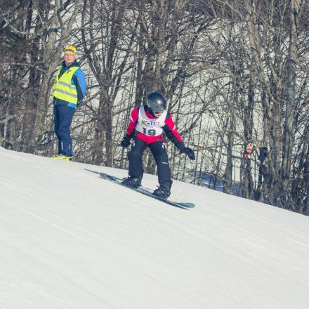 Boarderchallenge Vienna - Wiener Schulmeisterschaften 2015 @ Annaberg