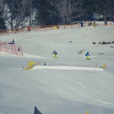 Boarderchallenge Vienna - Wiener Schulmeisterschaften 2015 @ Annaberg