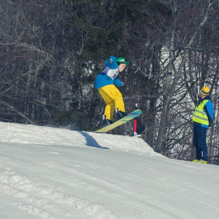 Boarderchallenge Vienna - Wiener Schulmeisterschaften 2015 @ Annaberg