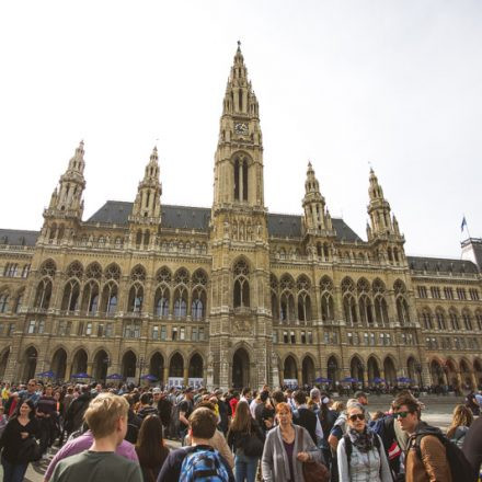 RedBull F1 Showrun @ Rathaus