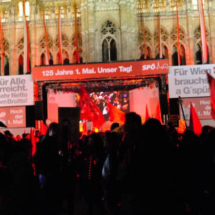 Fackelzug zum Rathausplatz / Mono & Nikitaman @ Rathausplatz