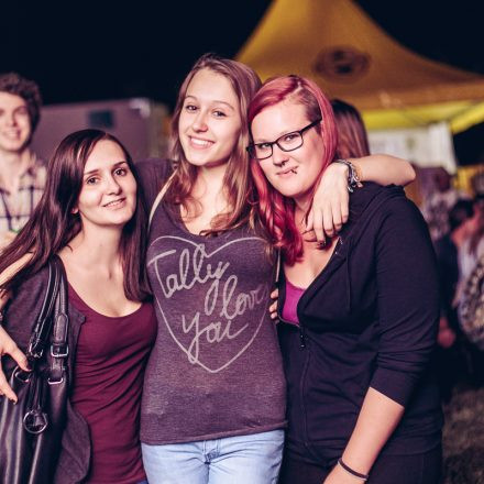 Donauinselfest 2015 - Day 1 @ Donauinsel Part III