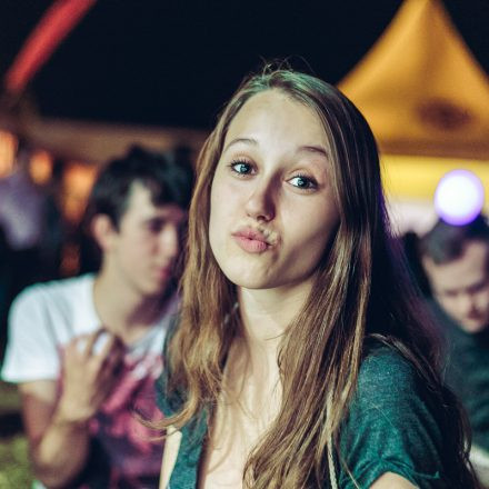 Donauinselfest 2015 - Day 1 @ Donauinsel Part III