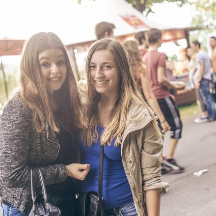 Donauinselfest 2015 - Day 1 @ Donauinsel Part III