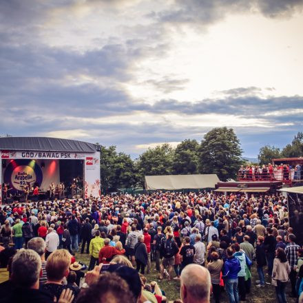 Donauinselfest 2015 - Day 2 @ Donauinsel Part I