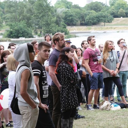 Donauinselfest 2015 - Day 2 @ Donauinsel Part II