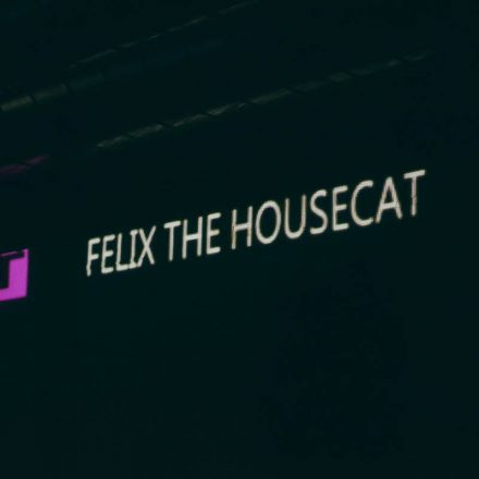 10 Jahre E-NIX with Felix da Housecat @ Pratersauna