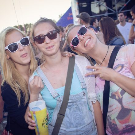 Donauinselfest 2015 - Day 3 @ Donauinsel Part II